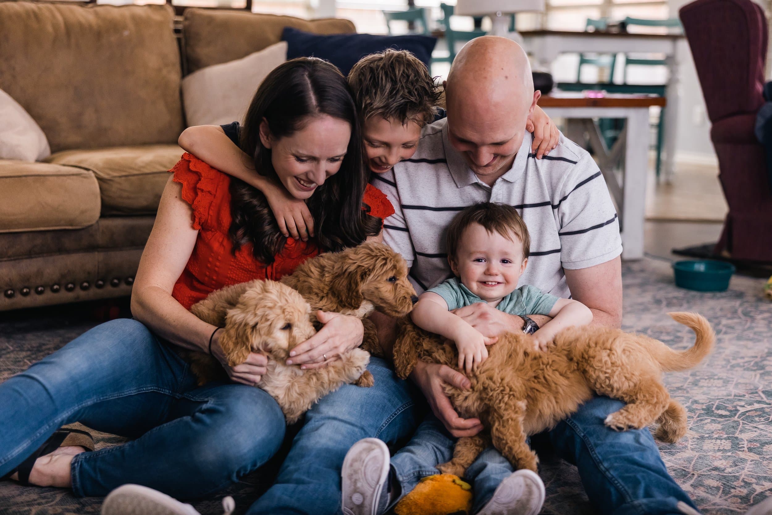 A family meeting their Goldendoodle puppies on pickup day in Texas