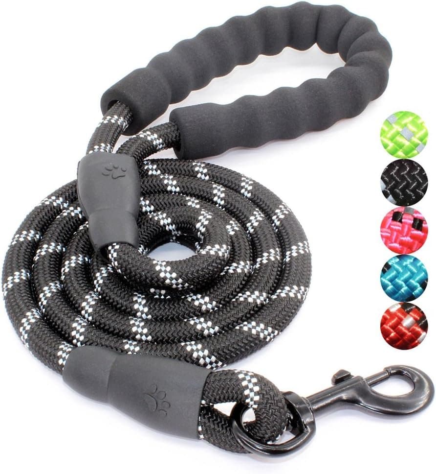 Leash