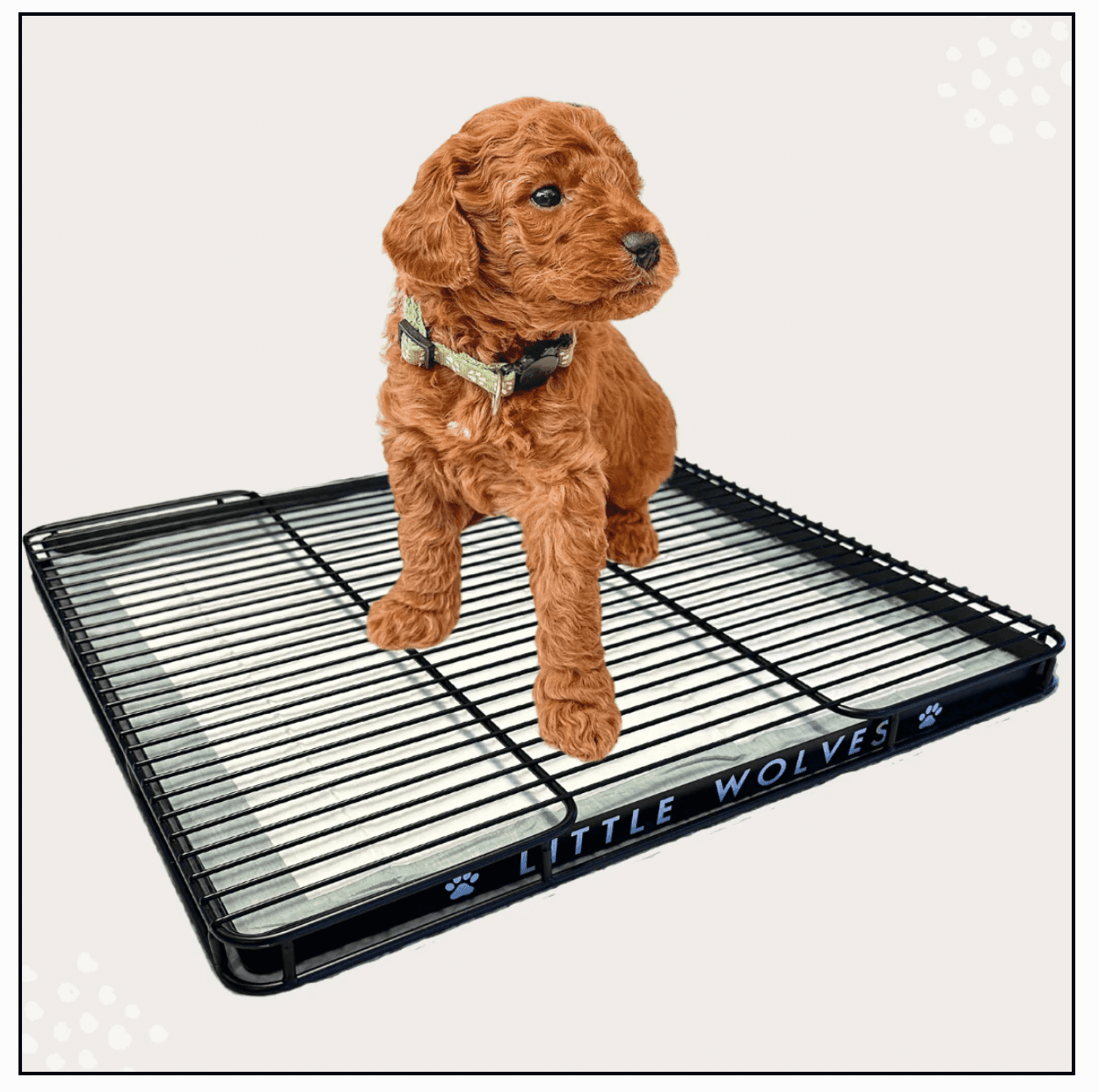 Potty Tray