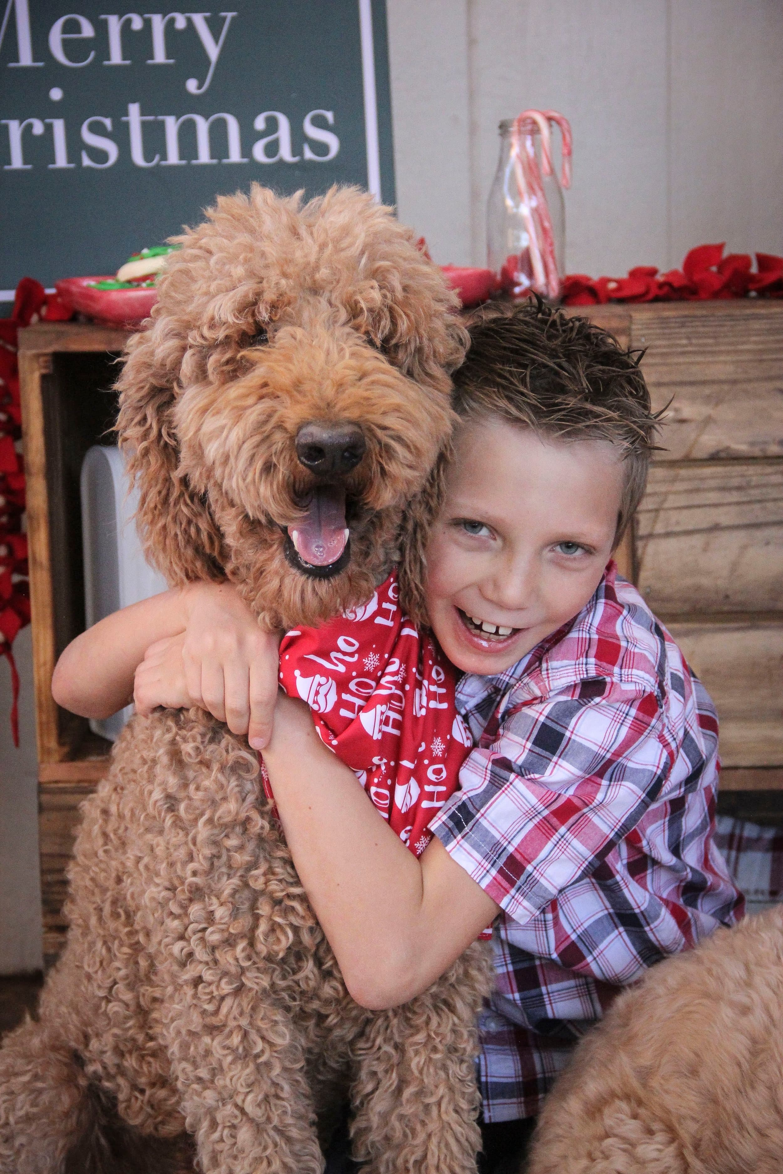 Hepp Family with their Purkey Puppies Goldendoodle