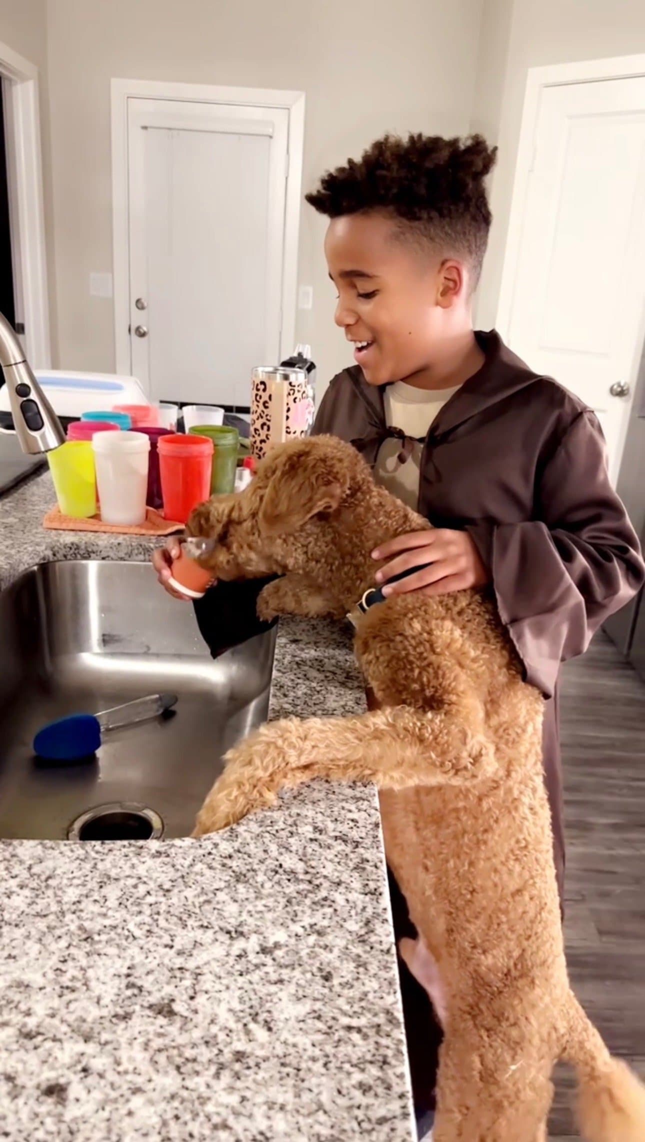 Purkey Puppies Goldendoodle resources and guides
