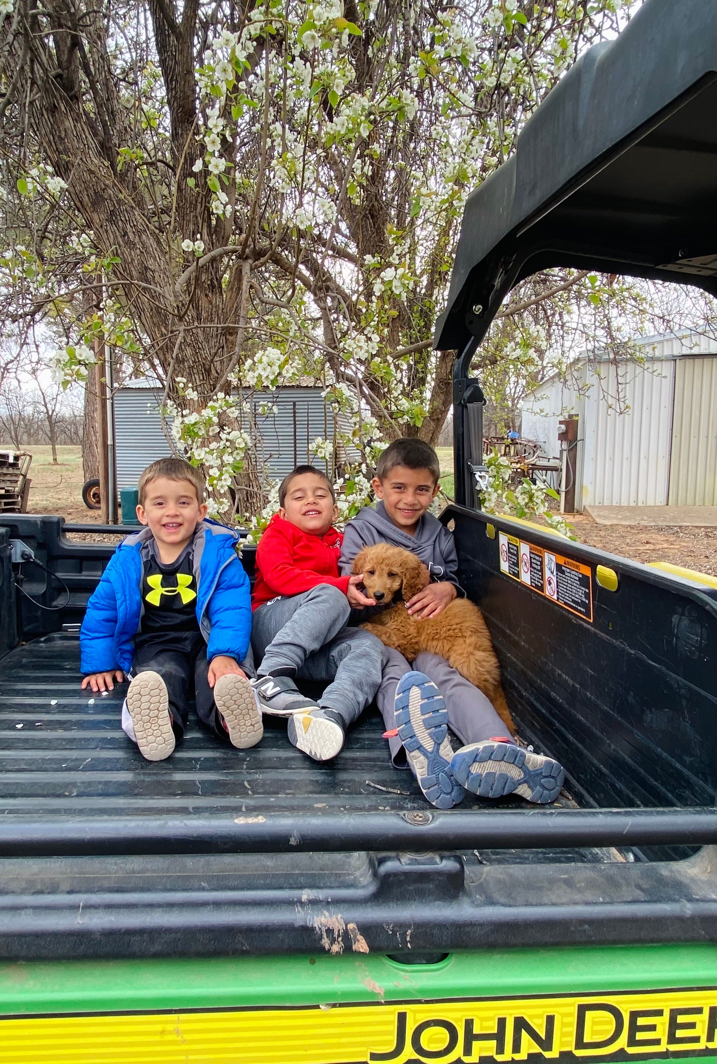 Easter Family with their Purkey Puppies Goldendoodle