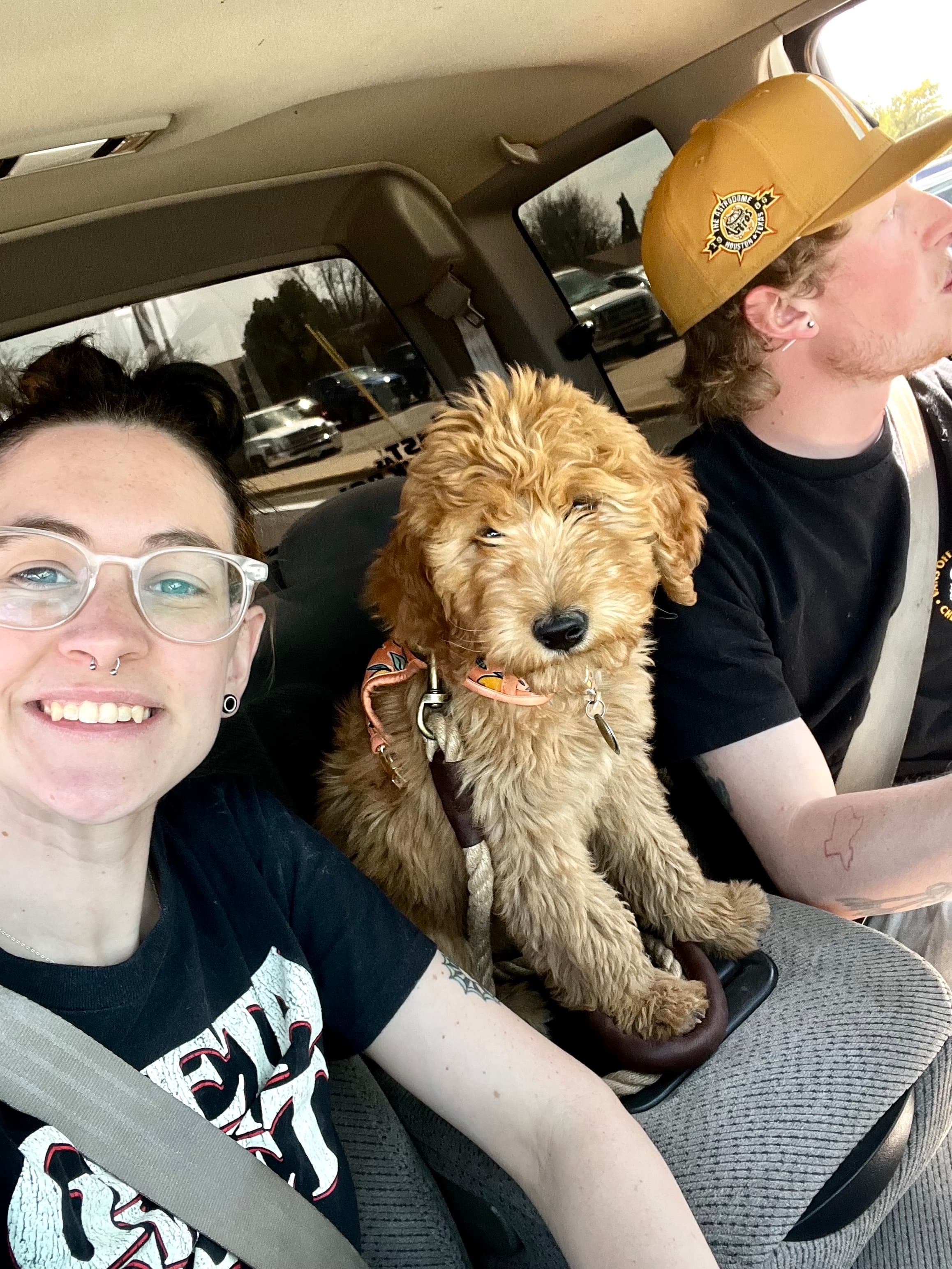 The Webb family with their Purkey Puppies Goldendoodle